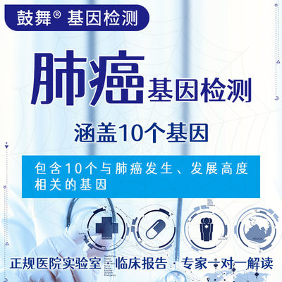 comprare NGS 10 Test genetici 10 Test genetici mirati per il rischio di cancro ai polmoni online manufacture