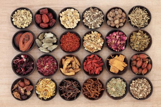 comprare Traditional Chinese Medicine Services online manufacture